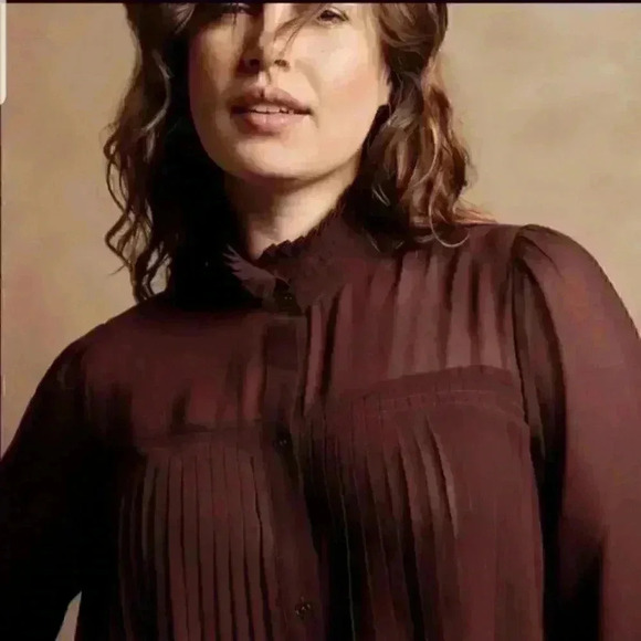 Banana Republic Chiffon Pleated Blouse - Picture 3 of 12